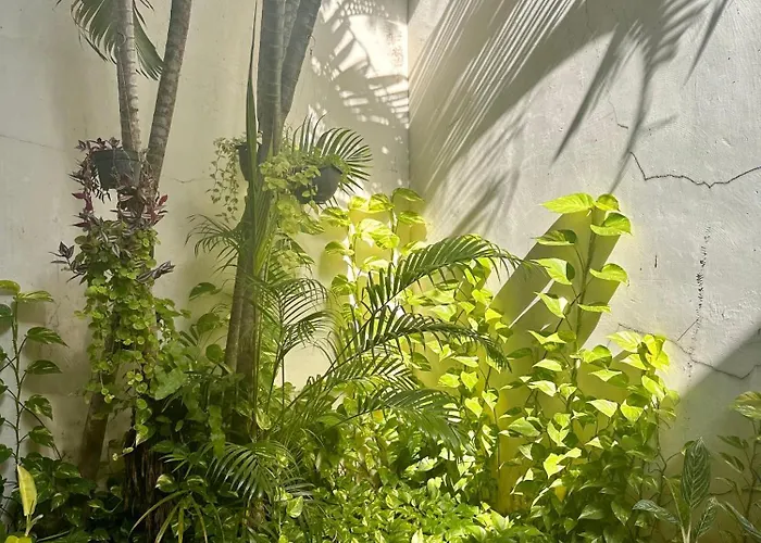 Séjour chez l'habitant Turtledove *